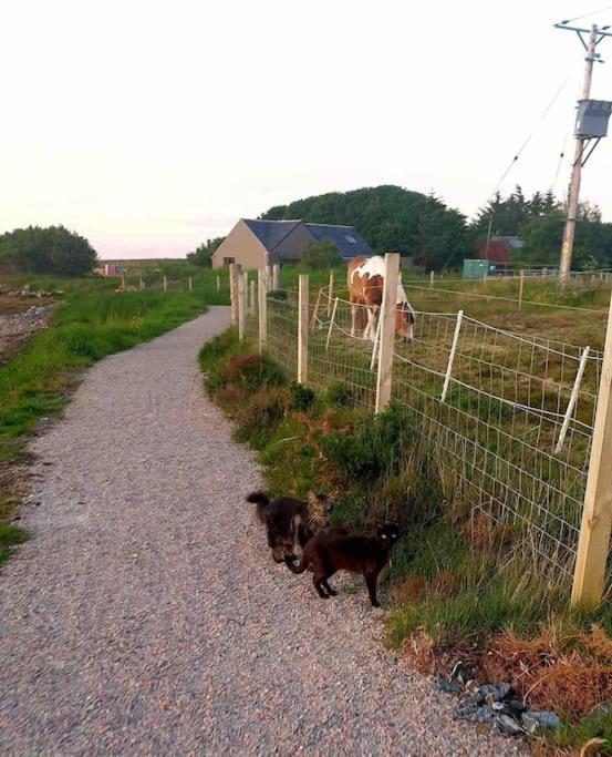 Isla'S Cottage Сторновей Екстер'єр фото